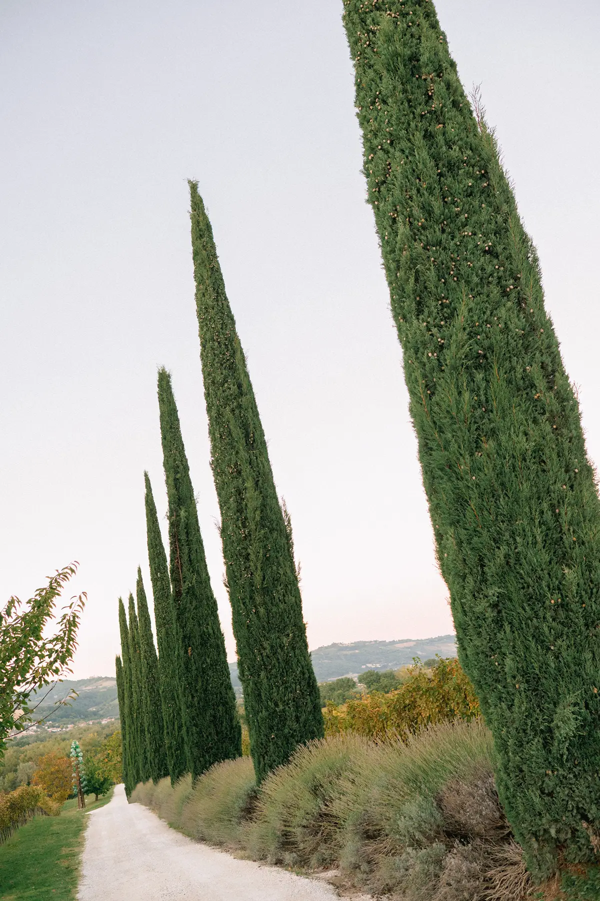 Destination Wedding Planning Destination Wedding Planning